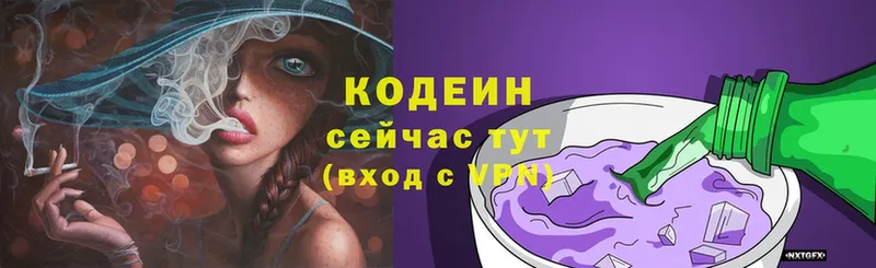 OMG ССЫЛКА  Жердевка  Codein напиток Lean (лин) 