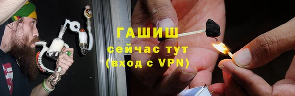 гидра Магас