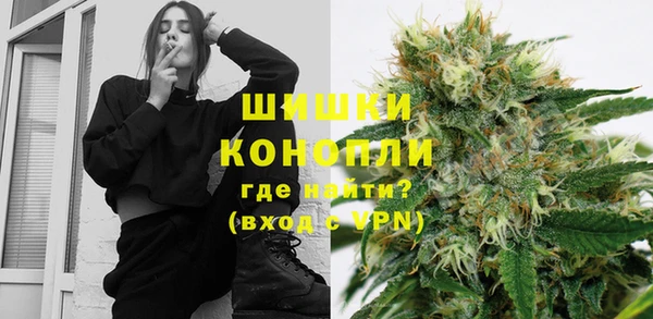 гидра Магас