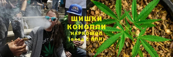 гидра Магас