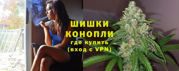 гидра Магас