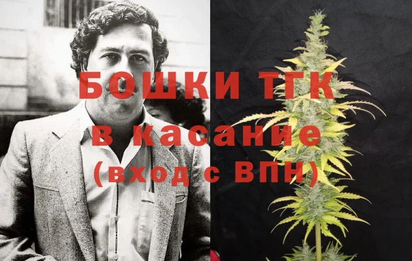 гидра Магас