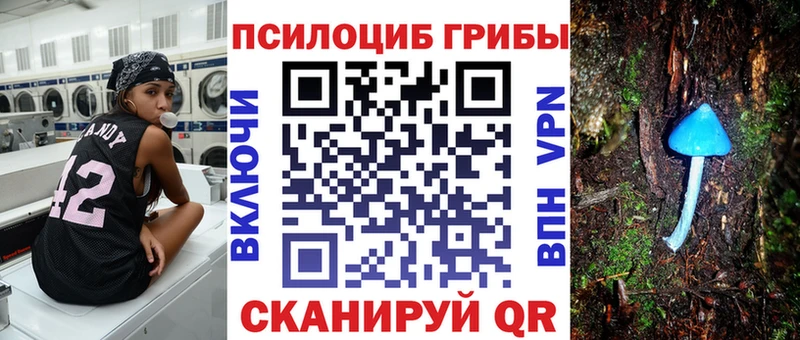 Галлюциногенные грибы Magic Shrooms  Жердевка 